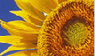 TOPICS & NEWS